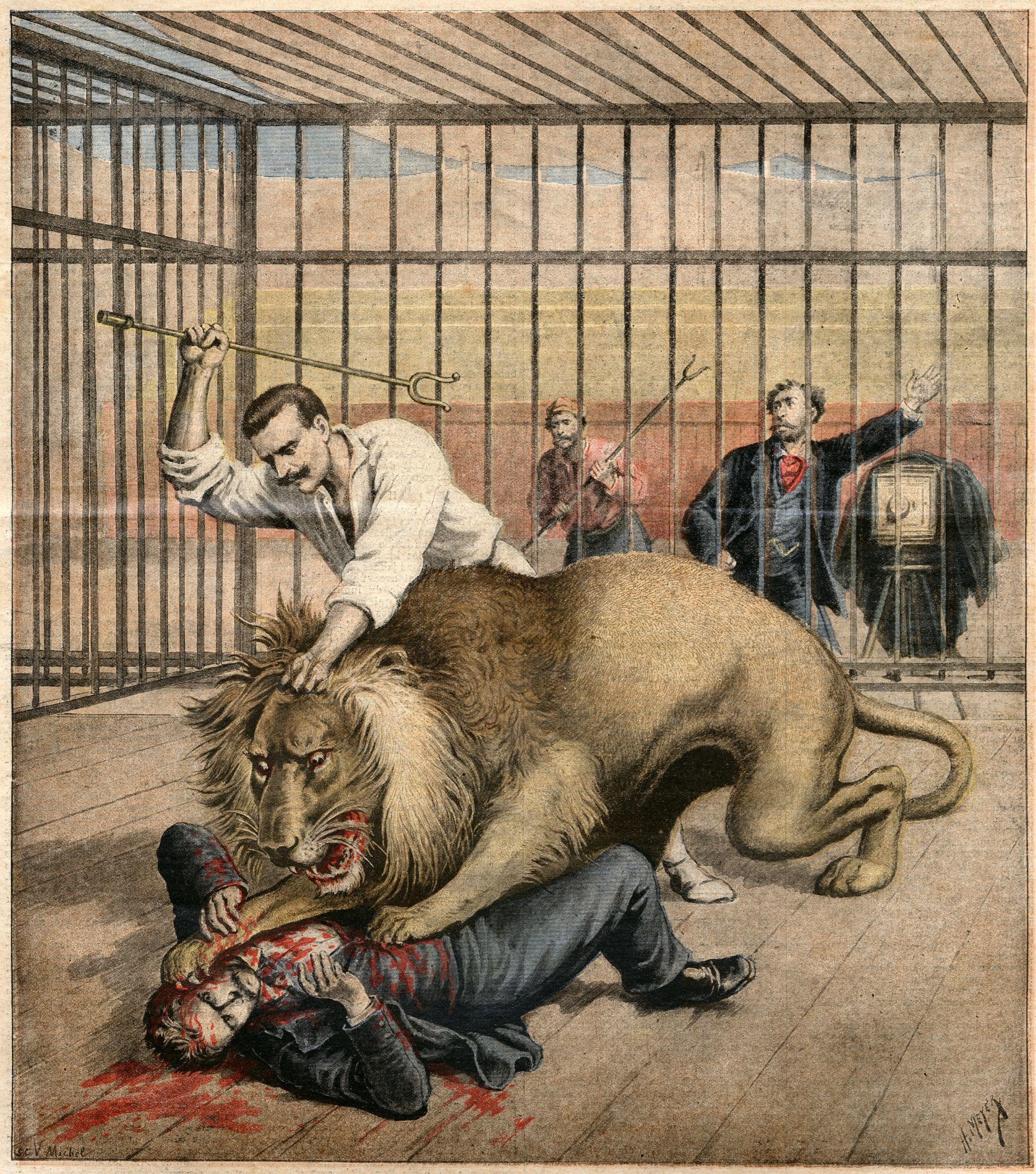 Illustrasjon av løve i bur med løvetemmer